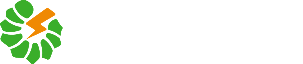 Furion